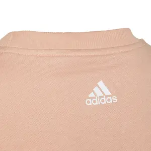 Sudadera niño adidas Essentials Logo image-2
