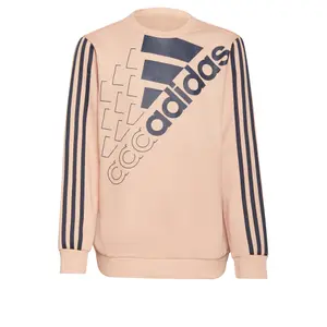 Sudadera niño adidas Essentials Logo image-0