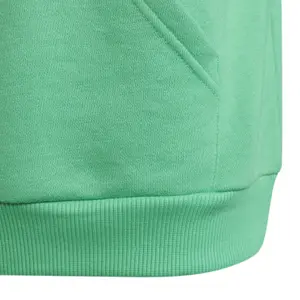 Sudadera con capucha para niños adidas Essentials Logo image-4