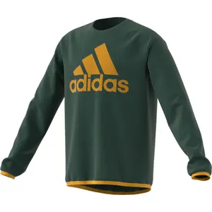 Sudadera cuello redondo niño adidas Designed To Move Big Logo image-0