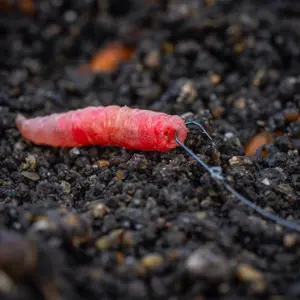 Ganchos Guru Tackle Super Fine Pole image-0