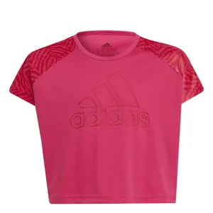 Camiseta de chica adidas Designed 2 Move Seasonal image-4