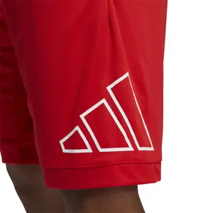 Corto adidas Big Logo image-5