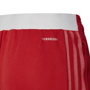 Calças de treino para crianças Ajax Amsterdam Tiro 21 image-2