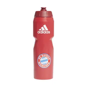 Flask fc Bayern Munich image-0