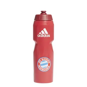 Flask fc Bayern Munich image-1