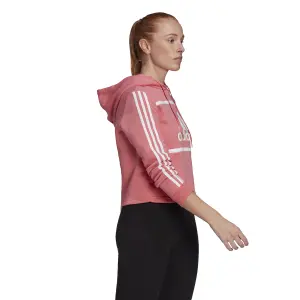 Felpa corta con cappuccio da donna adidas Essentials Logo Colorblock Fleece image-4