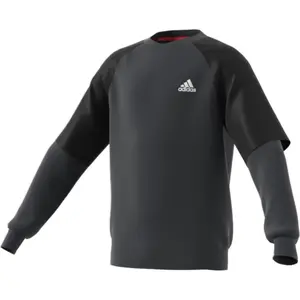 Sudadera niño adidas Xfg Comfort image-2