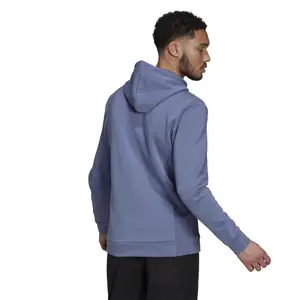 Jacke adidas Terrex Graphic Logo image-3