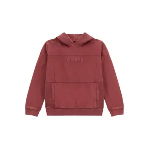 Sweatshirt à capuche enfant Guess Active Top image-0