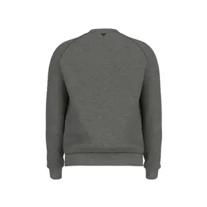 Sweatshirt Guess Aldwin image-1