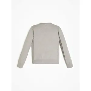 Organic cotton sweater Guess Core image-1