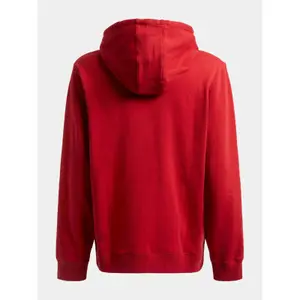 Camisola com capuz Guess ES Roy image-3