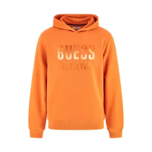 Sweatshirt med hætte Guess Beau image-0