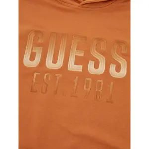 Sweatshirt med hætte Guess Beau image-2