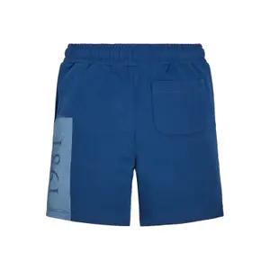 Organic boy shorts Guess French Terry image-1