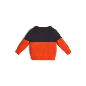 Organic cotton baby boy sweater Guess image-1