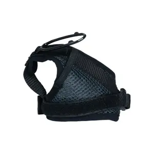 Dragonnes Guidetti Race image-1