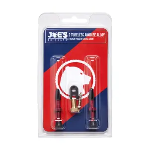 Valve tubeless Gurpil (x2) image-0