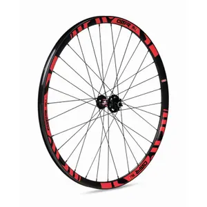 Rueda delantera Gurpil gtr tubeless ready sl20 disque image-0