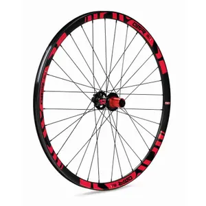 Roda de bicicleta com disco traseiro Gurpil GTR Ready SL20 image-0