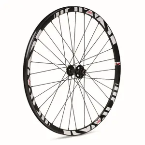 Vorderrad Scheibe Gurpil gtr tubeless ready sl20 boost 29 image-0