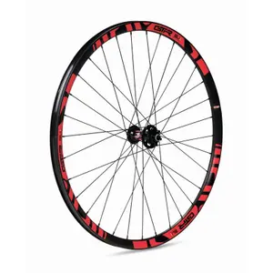 Rueda delantera Gurpil gtr tubeless ready sl20 disque image-1