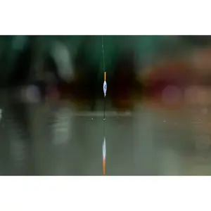 Lot de 10 flotteurs Guru Bobbie image-4