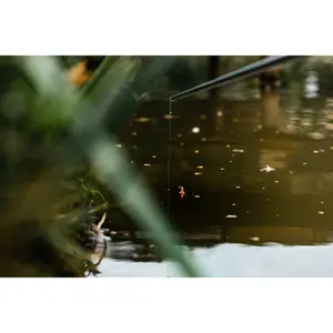 Lot de 10 flotteurs Guru Bagger image-6