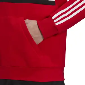Sweatshirt mit Kapuze adidas Essentials Logo Colorblock image-6