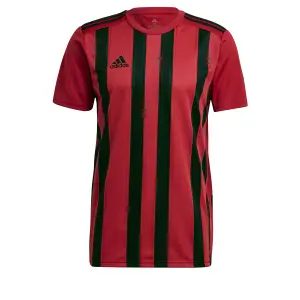 Camisola adidas Striped 21 image-0