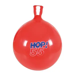 Junior Training Ball Gymnic Hop
