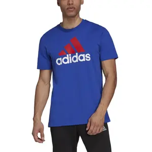 Camiseta adidas Essentials Big Logo image-4
