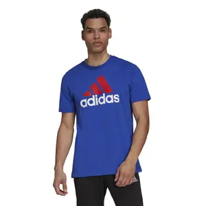 Camiseta adidas Essentials Big Logo image-2
