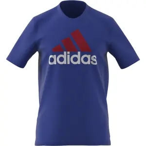 Camiseta adidas Essentials Big Logo image-5