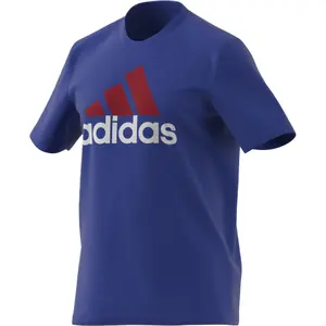 Camiseta adidas Essentials Big Logo image-3