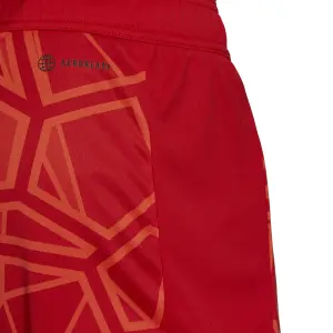 Goalkeeper shorts adidas Condivo 22 image-5