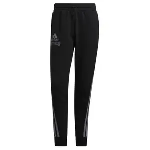 Pants adidas Reverse Retro Future Icons Winterized Graphic image-0