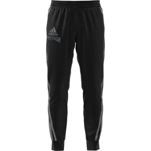 Pants adidas Reverse Retro Future Icons Winterized Graphic image-2
