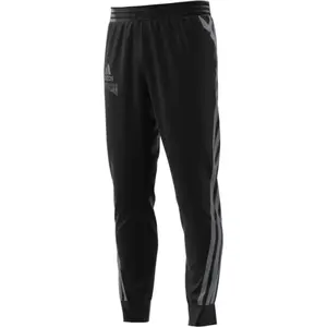 Pants adidas Reverse Retro Future Icons Winterized Graphic image-1