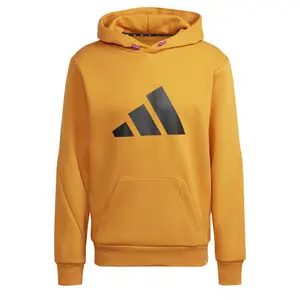 Hoodie adidas Sportswear Future Icons Winterized image-0