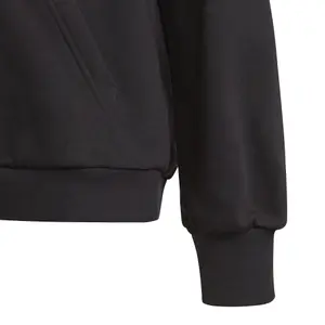 Sudadera con capucha para niños adidas Future Icons Logo image-4