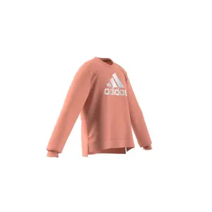 Sudadera niño adidas Future Icons Logo image-5
