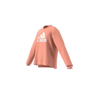 Sudadera niño adidas Future Icons Logo image-3
