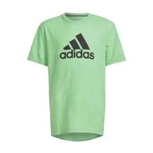 Camiseta de niño adidas Badge of Sport Summer image-0