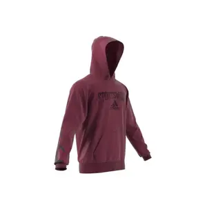 Sudadera con capucha adidas Reverse Retro Future Icons Graphic image-3