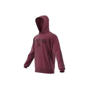 Sudadera con capucha adidas Reverse Retro Future Icons Graphic image-4