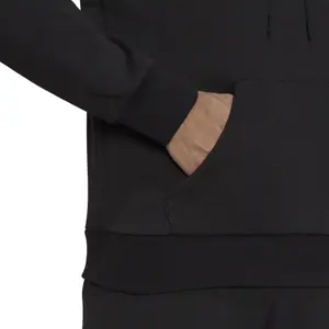 Hoodie adidas Sportswear Future Icons Logo Graphic image-5