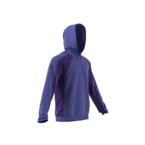 Sweatshirt adidas Harden Foundation Pullover image-3