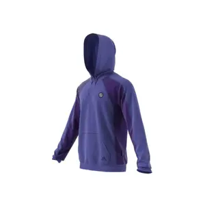 Sweatshirt adidas Harden Foundation Pullover image-4